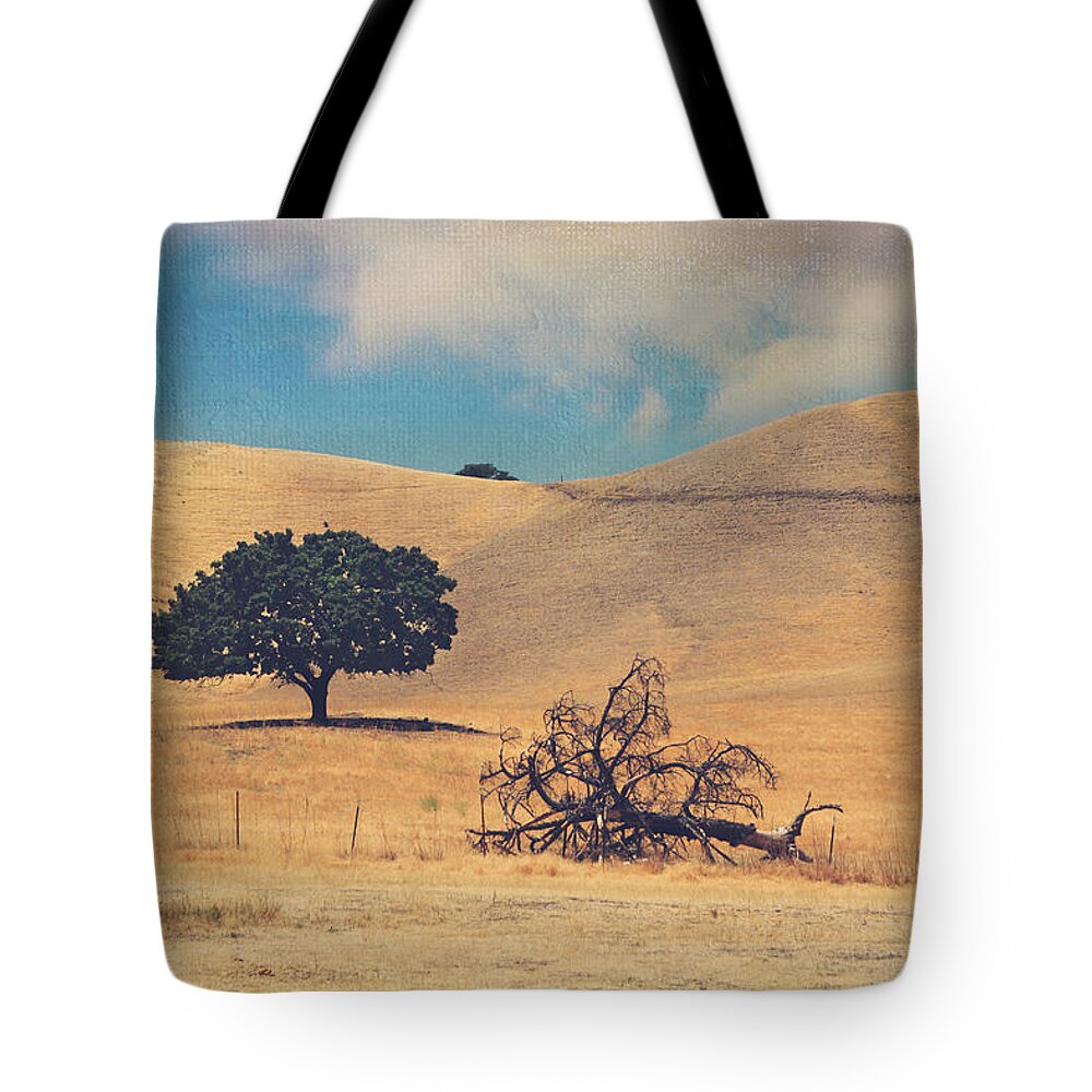 Antioch Tote Bag featuring the photograph Life and Death by Laurie Search