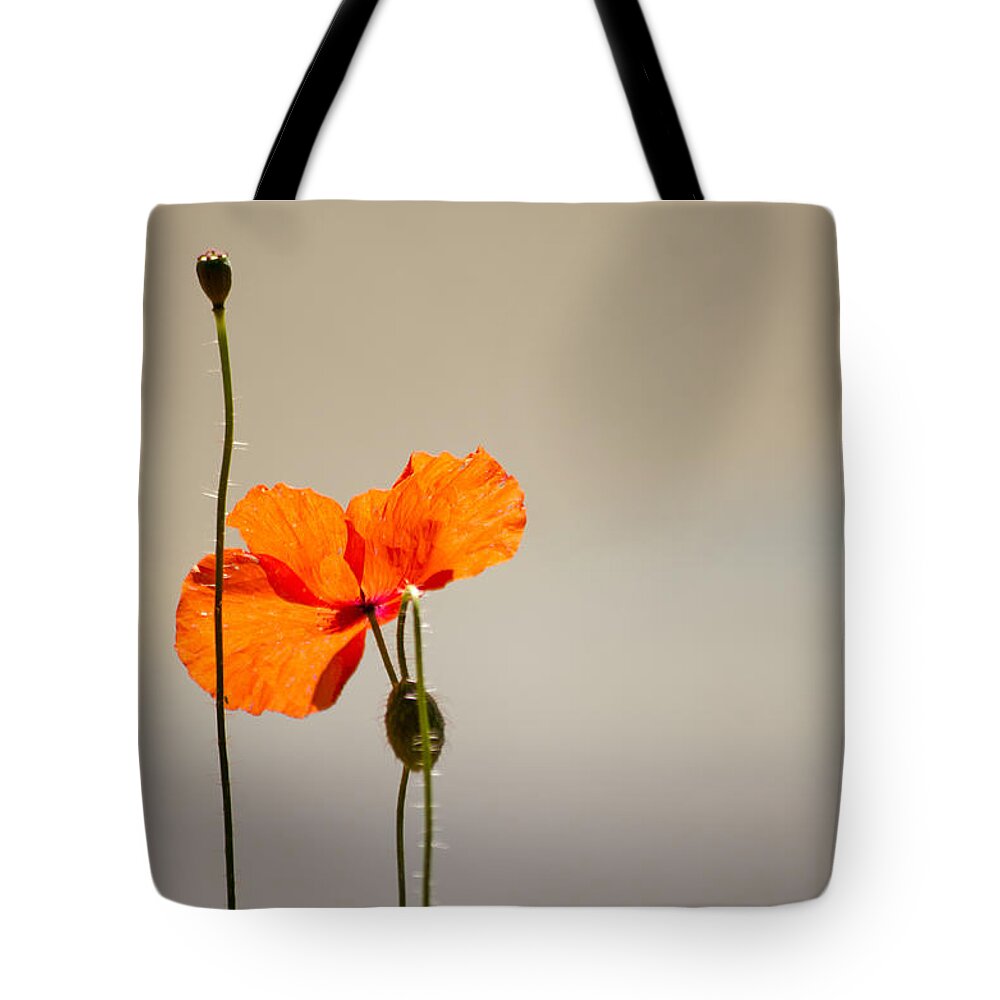 Poppy Tote Bag featuring the photograph Life by Spikey Mouse Photography
