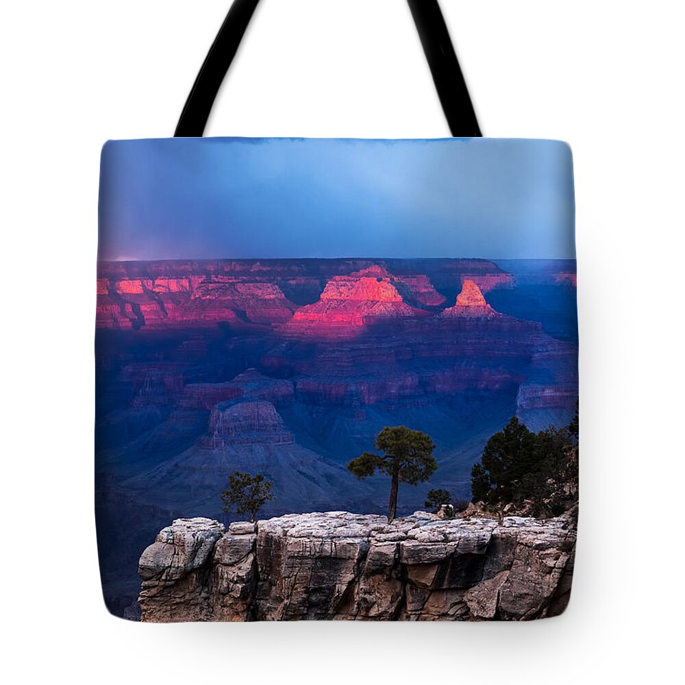 Arizona Tote Bag featuring the photograph Life on the Rim by Ed Gleichman