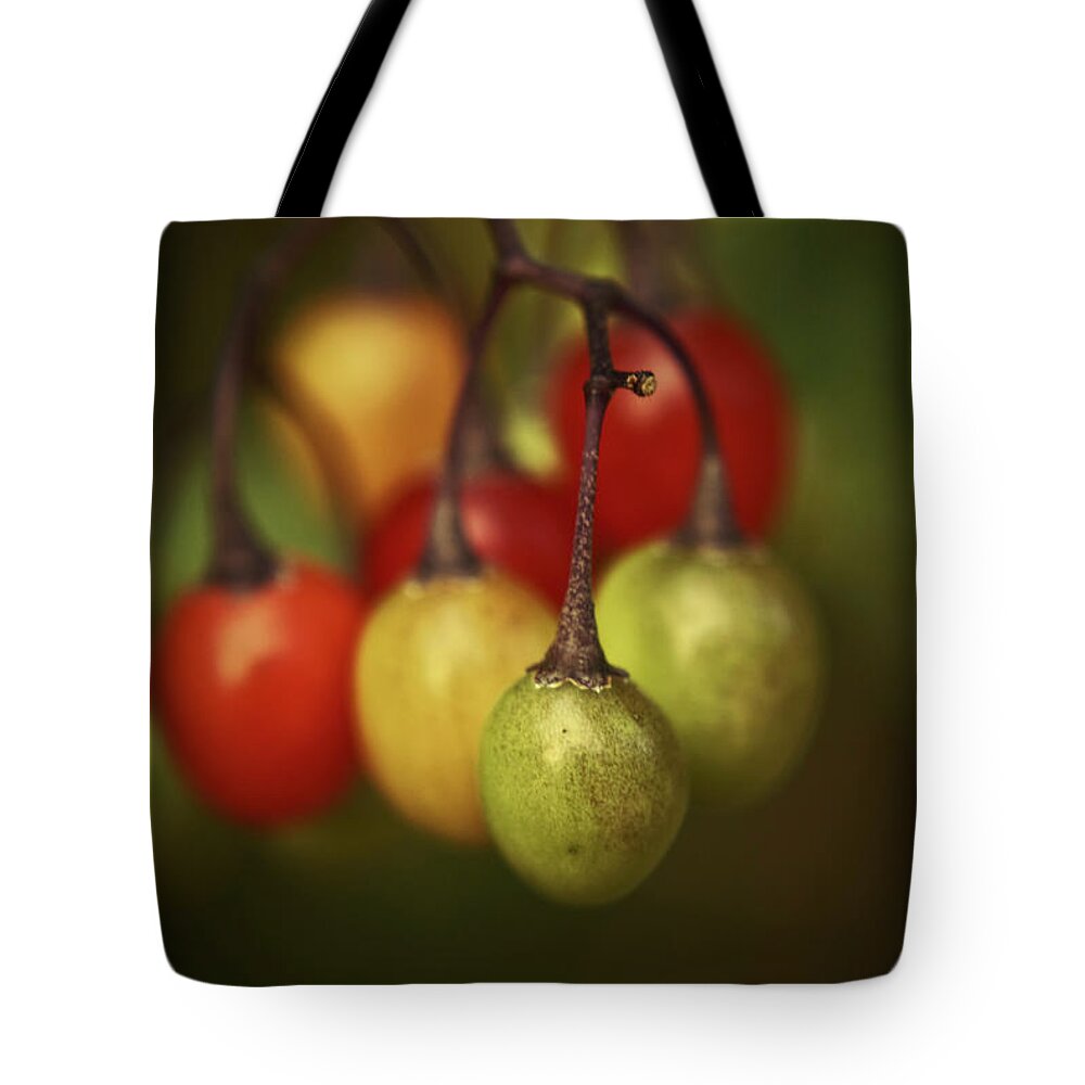 Fruit Prints Tote Bag featuring the photograph Life Savour by Aimelle Ml