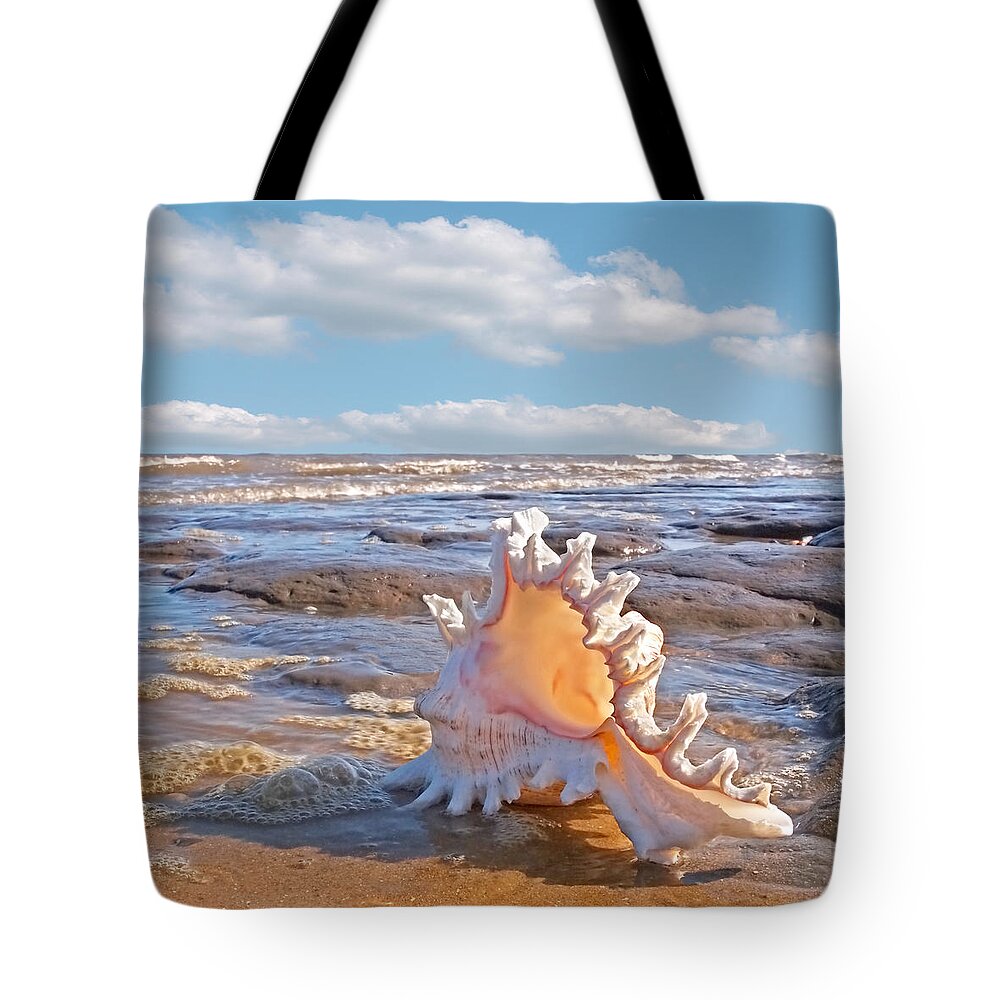 Beach Tote Bag featuring the photograph Life's a Beach - Murex Ramosus Seashell - Square by Gill Billington