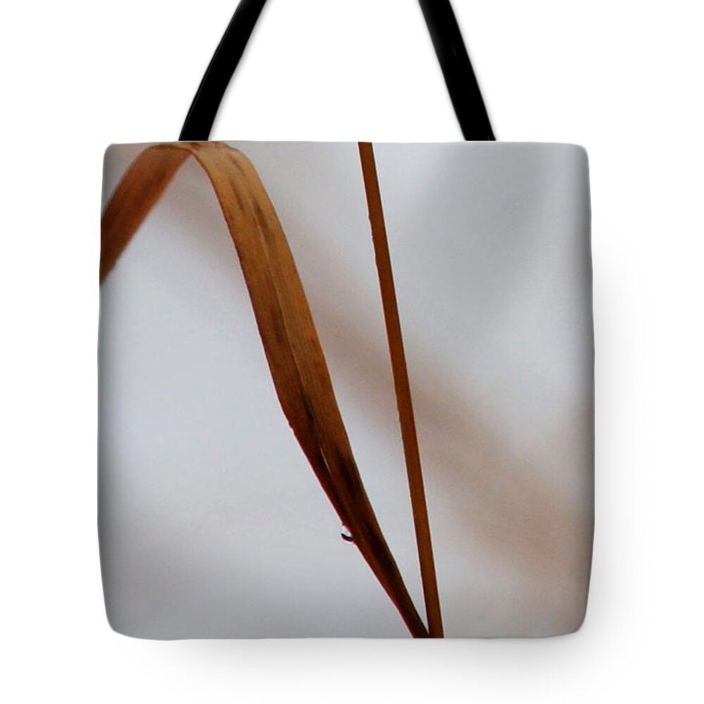 Abstract Tote Bag featuring the photograph Life's Journey by Linda Shafer