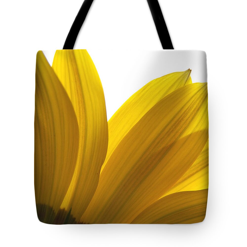 Flower Tote Bag featuring the photograph Light Through the Yellow by Corinne Elizabeth Cowherd