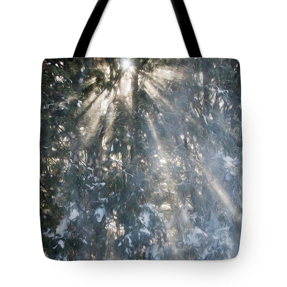 Trees Tote Bag featuring the photograph Light throught the trees by Tracy Winter