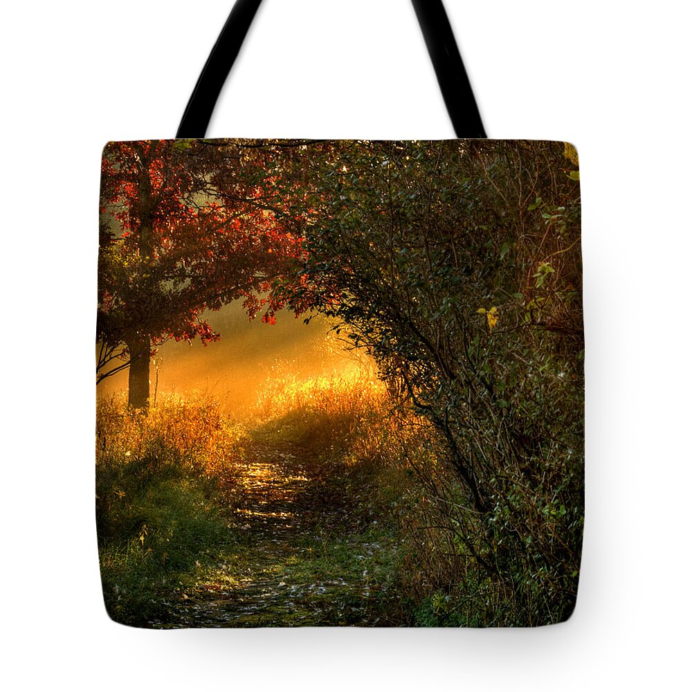 Path Tote Bag featuring the photograph Lighted Path by Thomas Young
