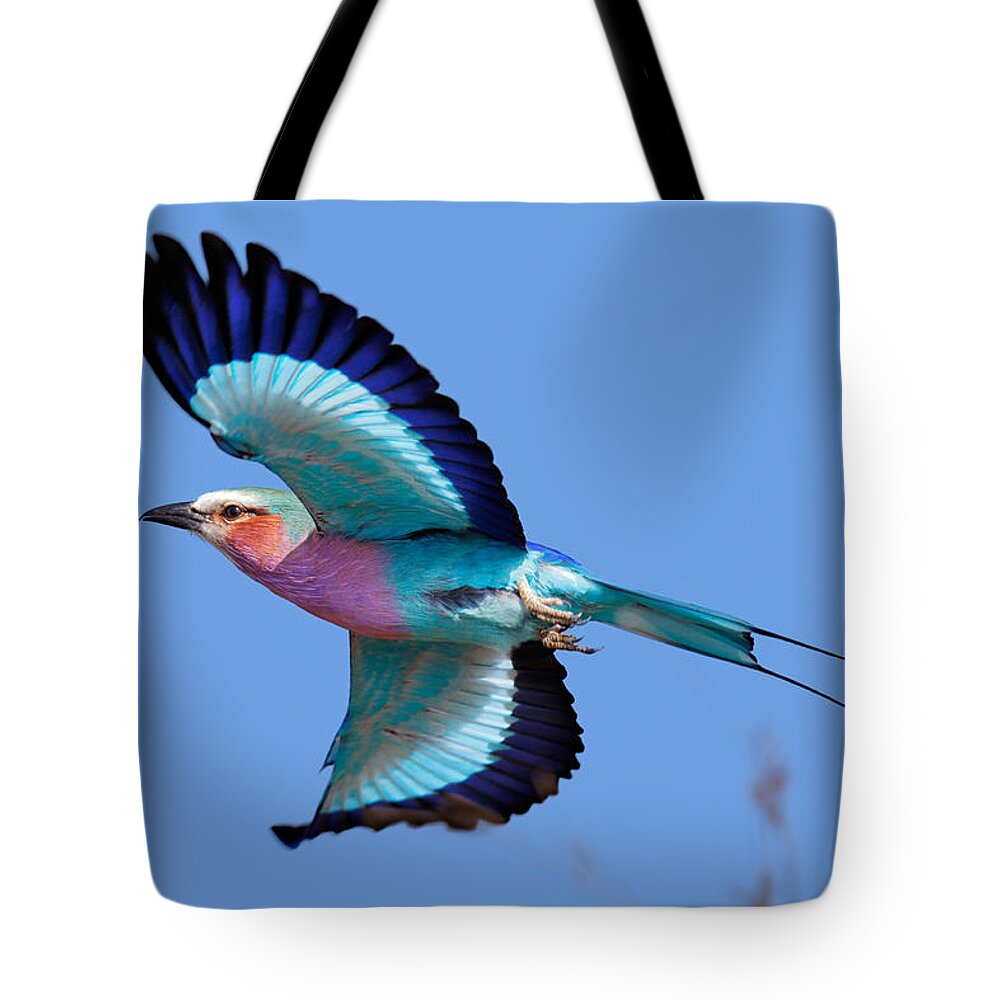 Lilac-breasted Tote Bag featuring the photograph Lilac-breasted Roller in flight by Johan Swanepoel