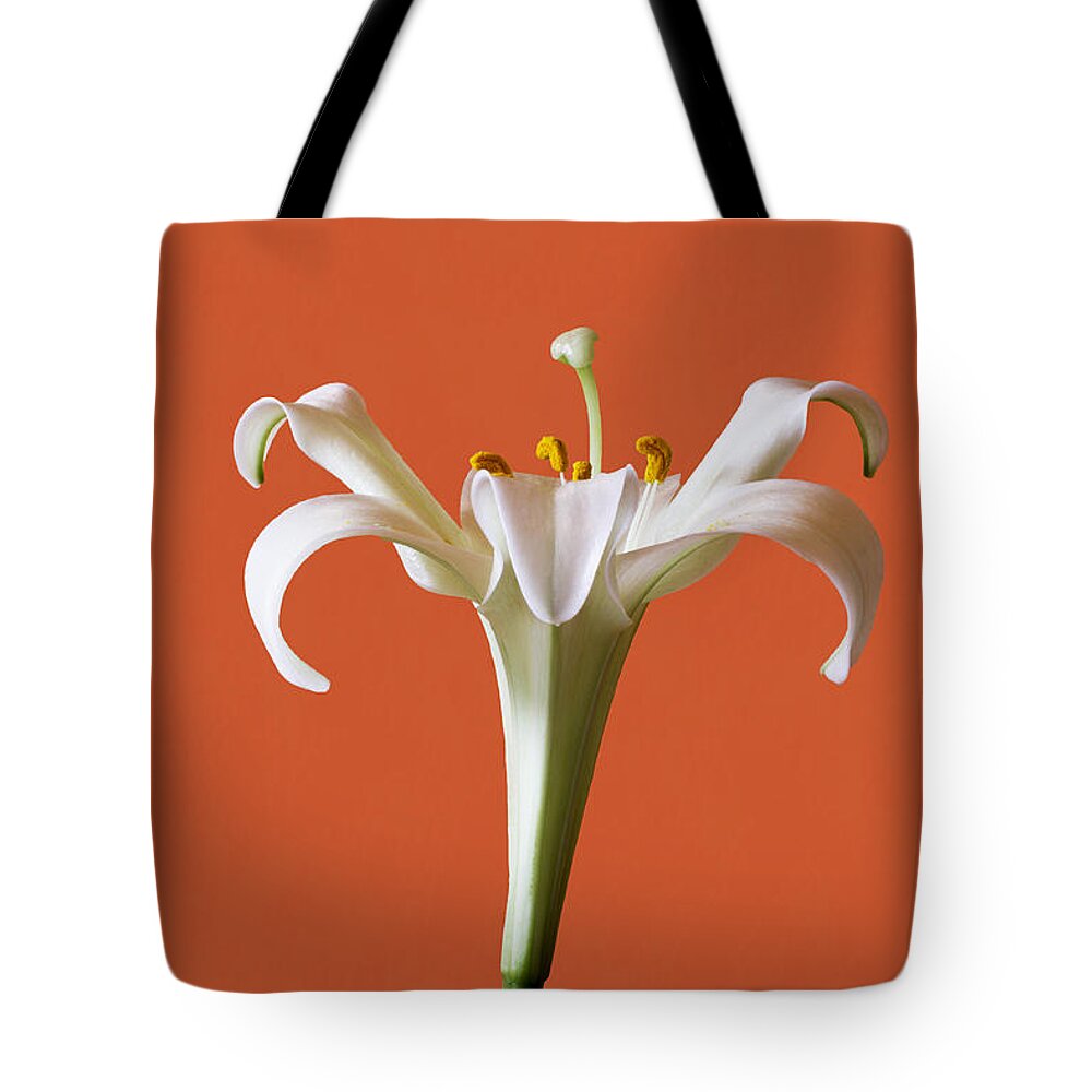 Stamens Tote Bag featuring the photograph White Lily by Marina Kojukhova