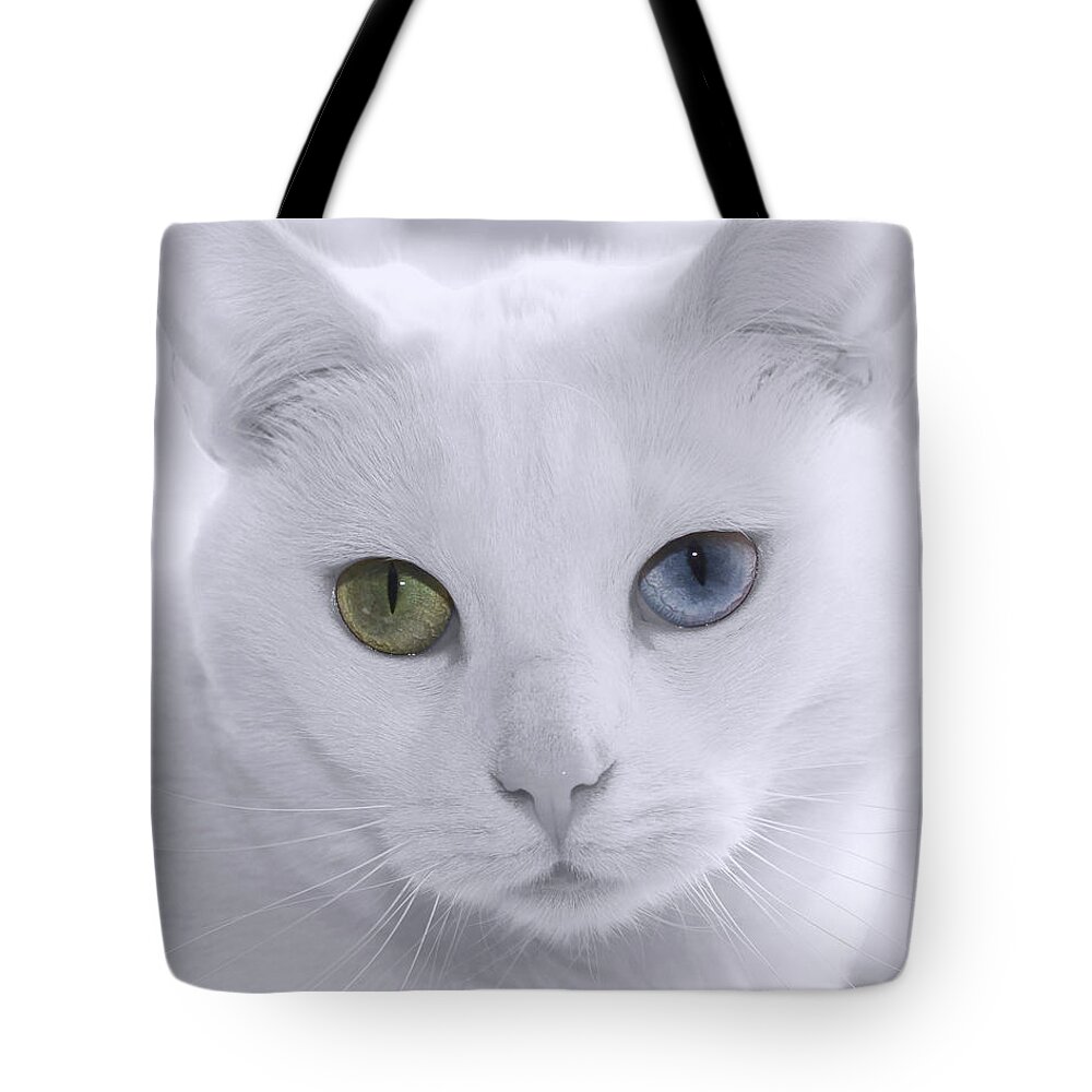Feline Tote Bag featuring the photograph Lillie by Denise Beverly