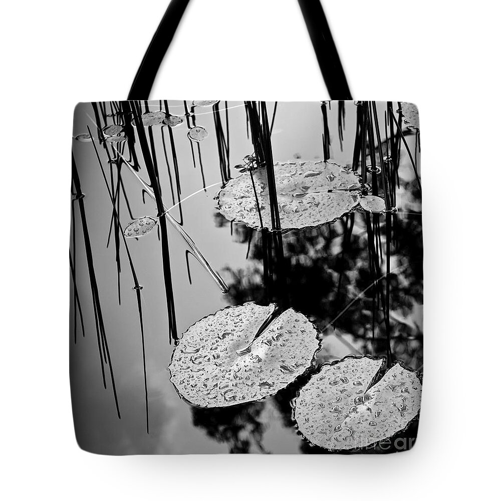 Background Tote Bag featuring the photograph Lilly Pad Pond Black and White by THP Creative