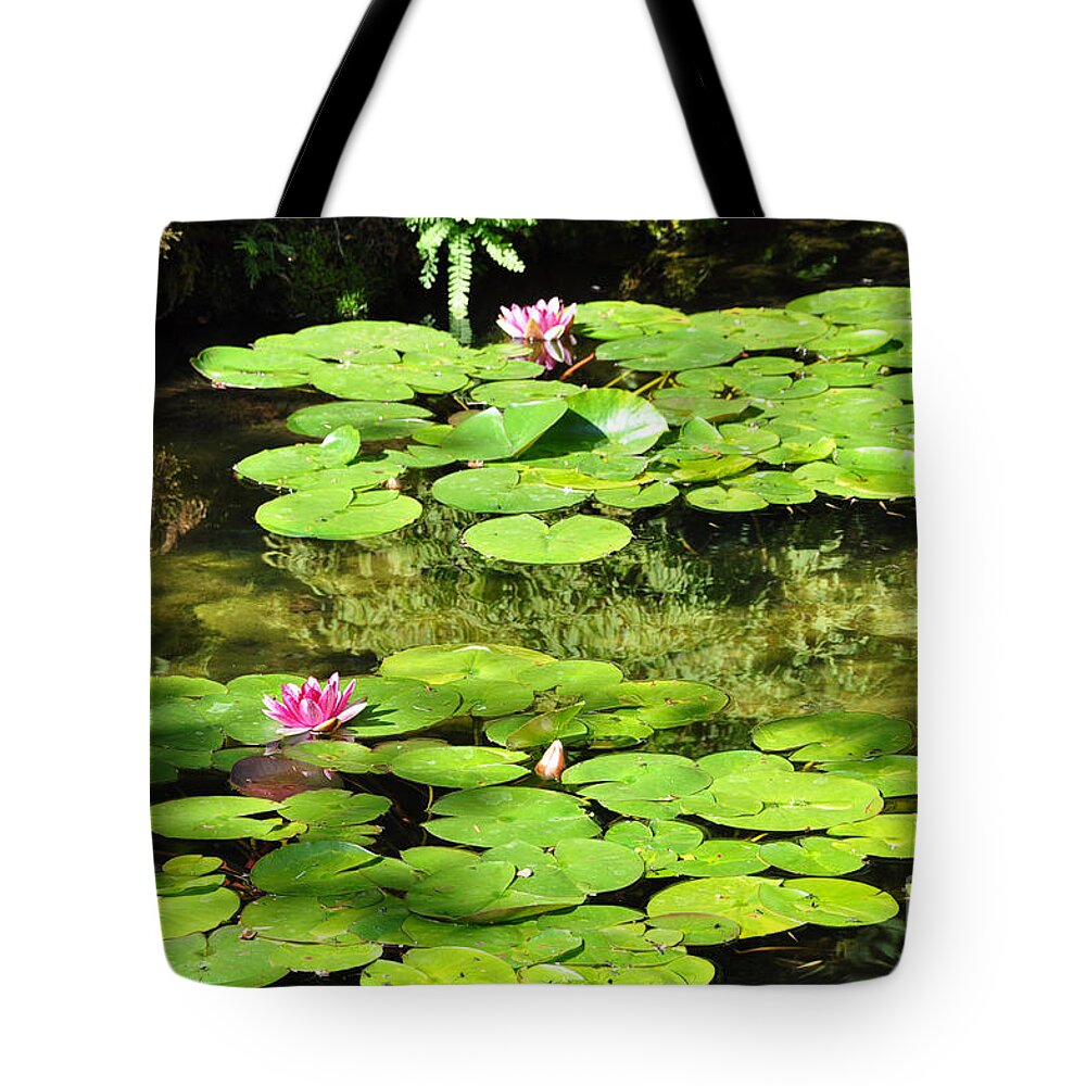 Pond Tote Bag featuring the photograph Lily Pads by Kirt Tisdale