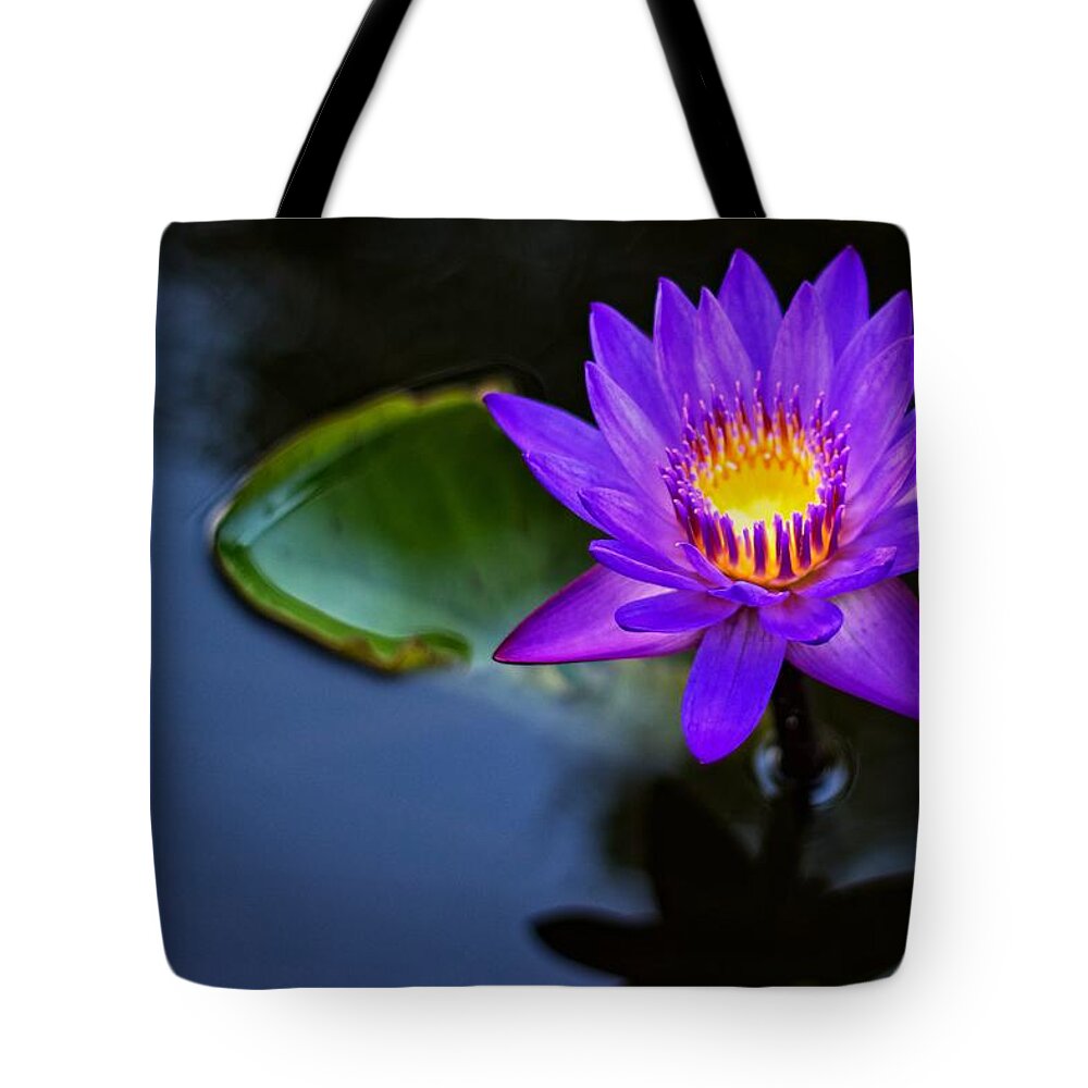 Lily Tote Bag featuring the photograph Lily Awakens by Dave Files