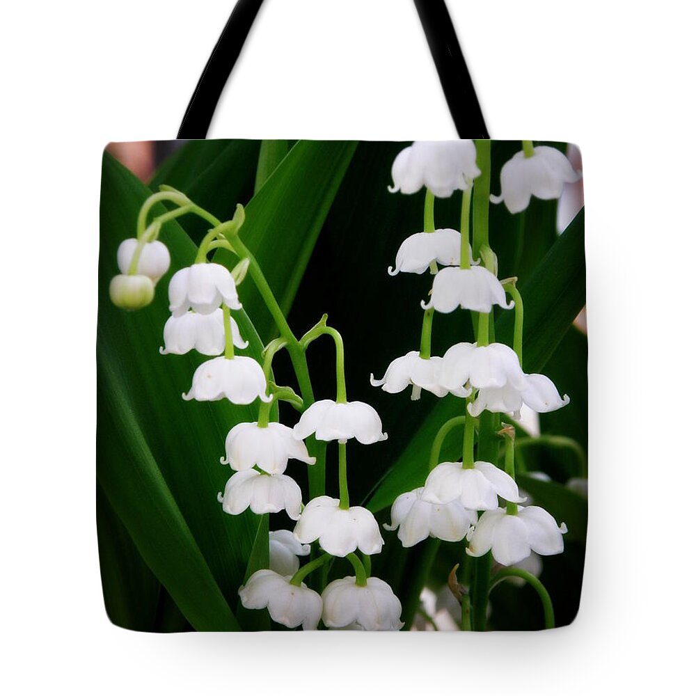 Lily Of The Valley Tote Bag featuring the photograph Lily of the Valley by Lainie Wrightson