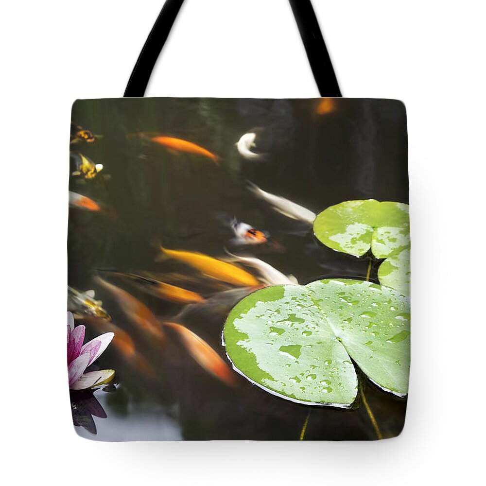 Lily Tote Bag featuring the photograph Lily Pad Pink Flower in Koi Pond by Jit Lim