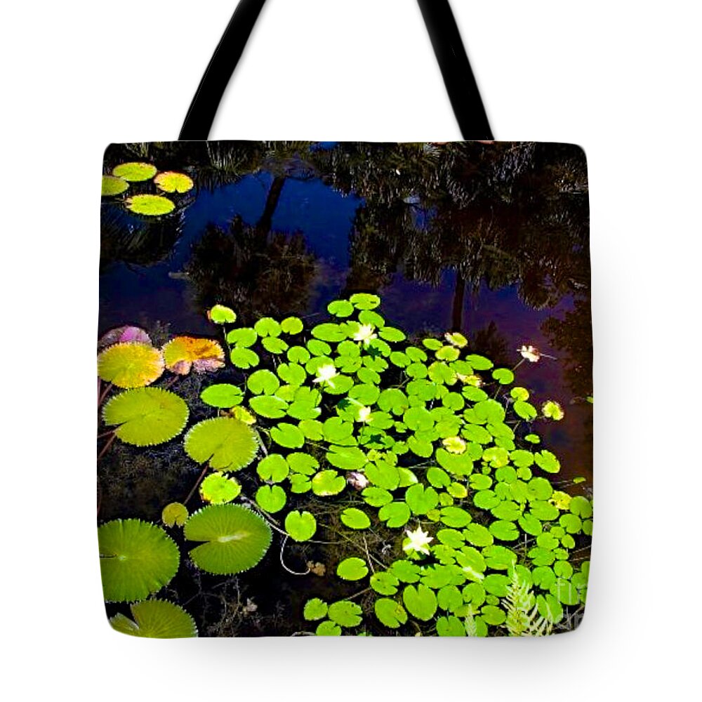 Pond Tote Bag featuring the photograph Lily Pads by Anita Lewis