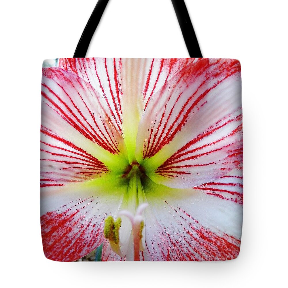 Bestseller Tote Bag featuring the photograph Lily Wow by D Hackett