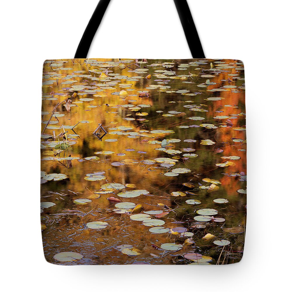 Maine Tote Bag featuring the photograph Lilypads and Reflection-H by Tom Daniel