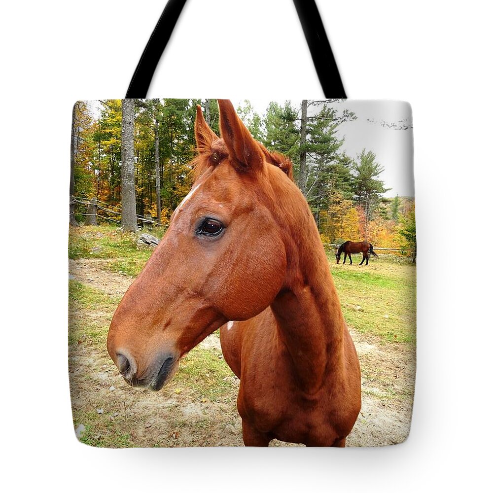Limerick Tote Bag featuring the painting Limerick by Mike Breau