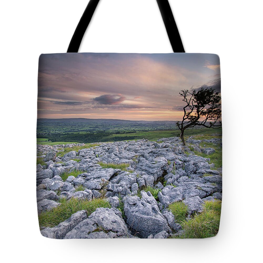 Grass Tote Bag featuring the photograph Limestone And Tree At Sunset by U.knakis Photography