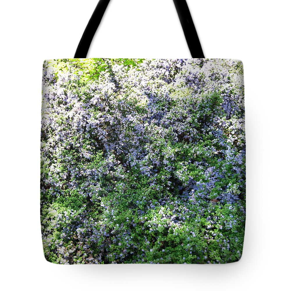 Nature Tote Bag featuring the photograph Lincoln Park In Bloom by David Trotter