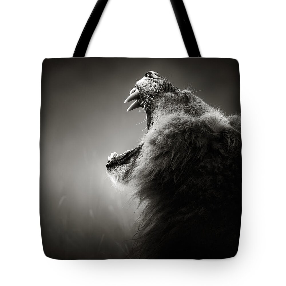 Lion Tote Bag featuring the photograph Lion displaying dangerous teeth by Johan Swanepoel