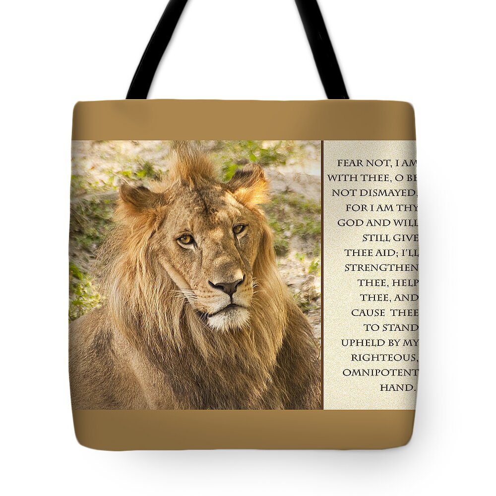 Lion Tote Bag featuring the photograph Lion Encouragement by Carolyn Marshall