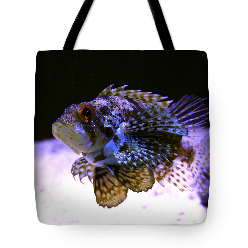 Lionfish Tote Bag featuring the photograph Lionfish Dendriochrius barberi by Karon Melillo DeVega