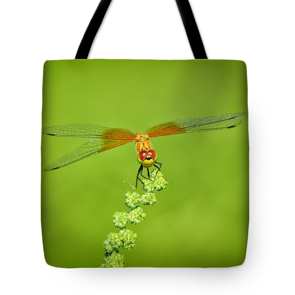 Dragonfly Tote Bag featuring the photograph Little Bugger by Greg Norrell