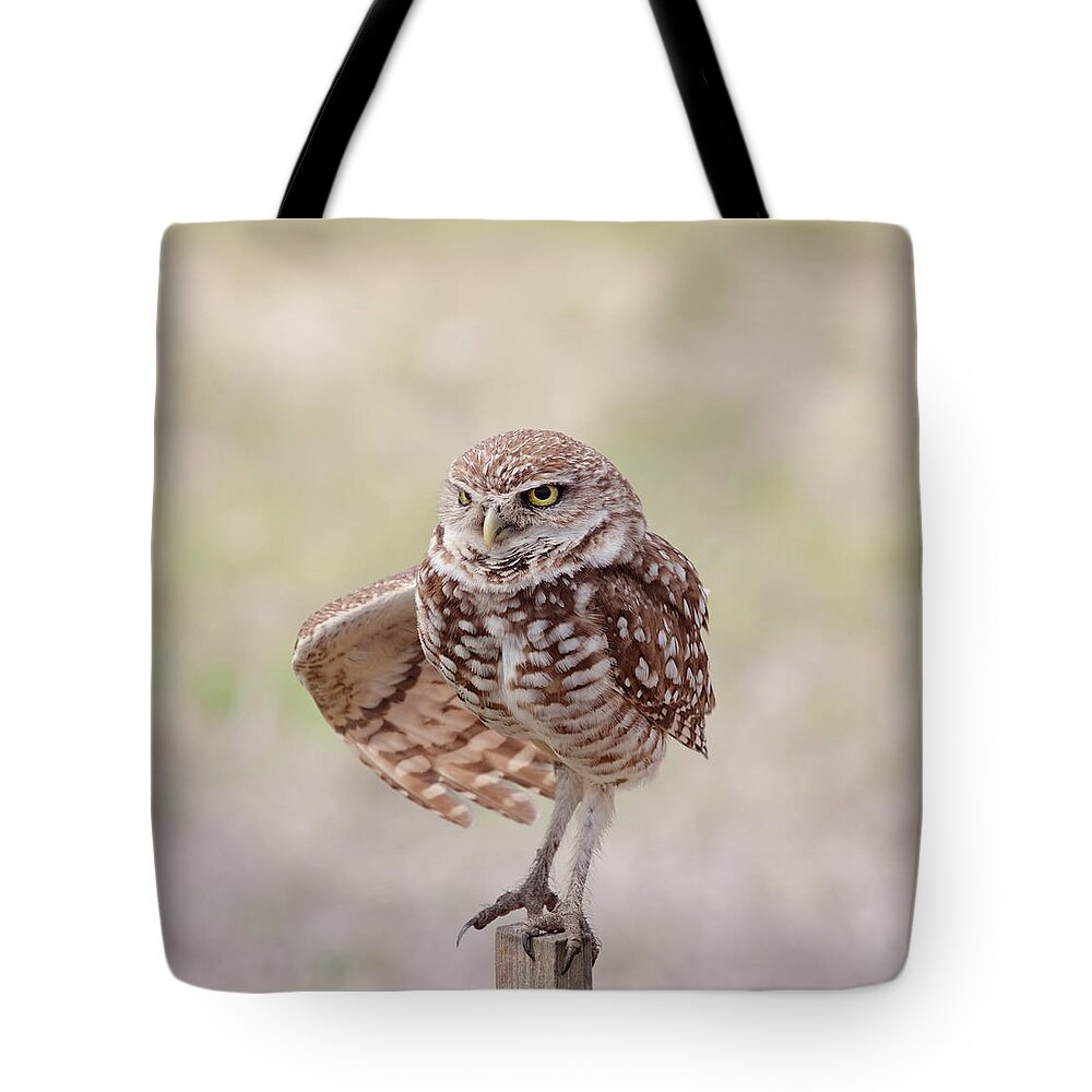 Wildlife Tote Bag featuring the photograph Little One by Kim Hojnacki