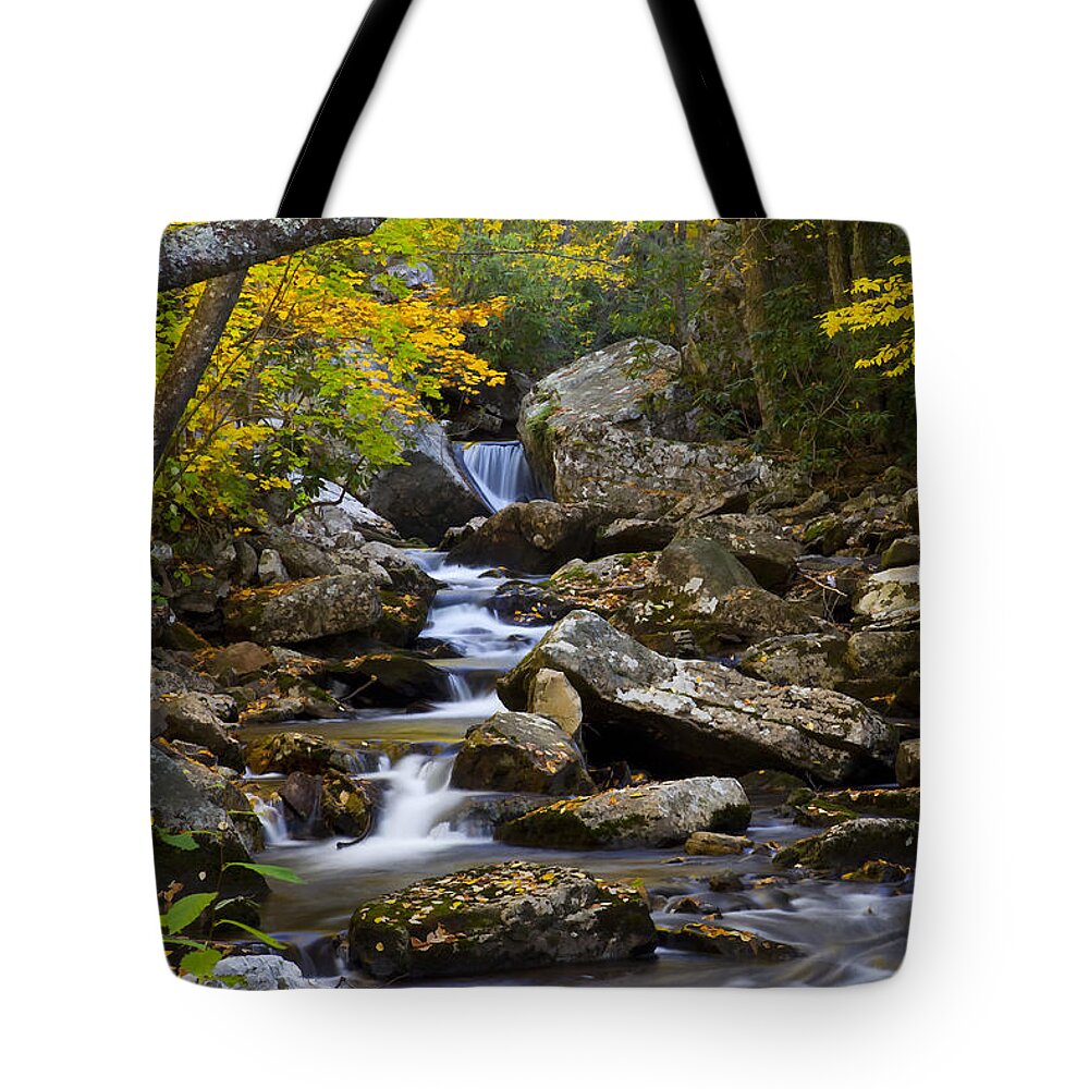 Creek Tote Bag featuring the photograph Little Stony Creek by Amy Jackson