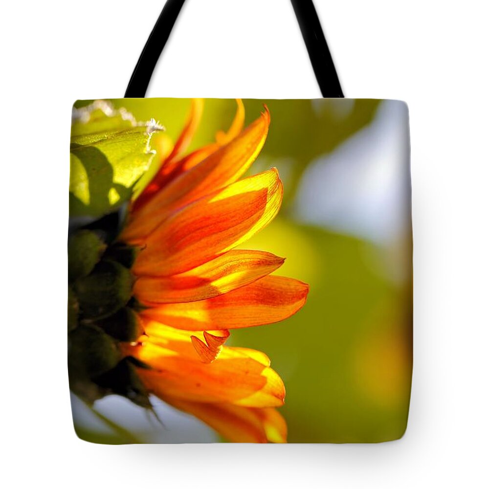 Sunflower Tote Bag featuring the photograph Little Sunshine by Katherine White