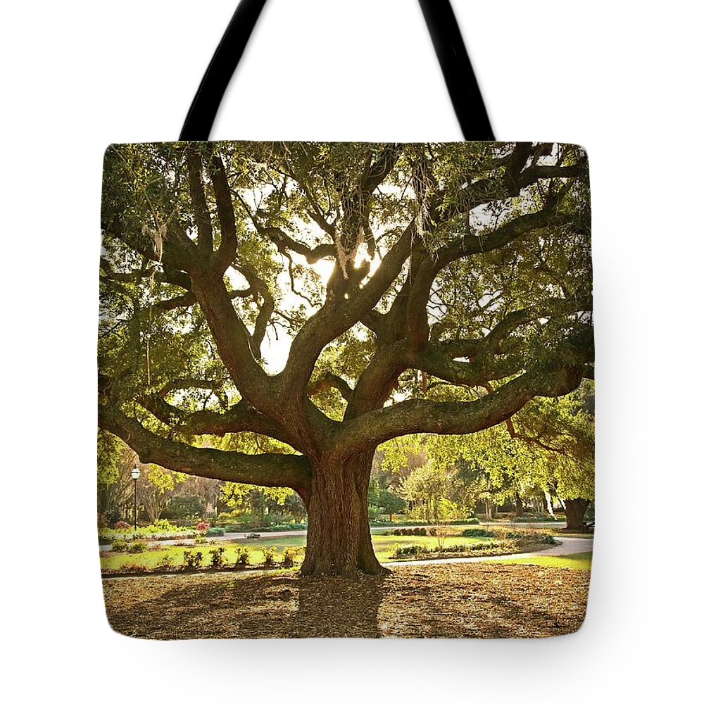Tranquility Tote Bag featuring the photograph Live Oak by Daniela Duncan
