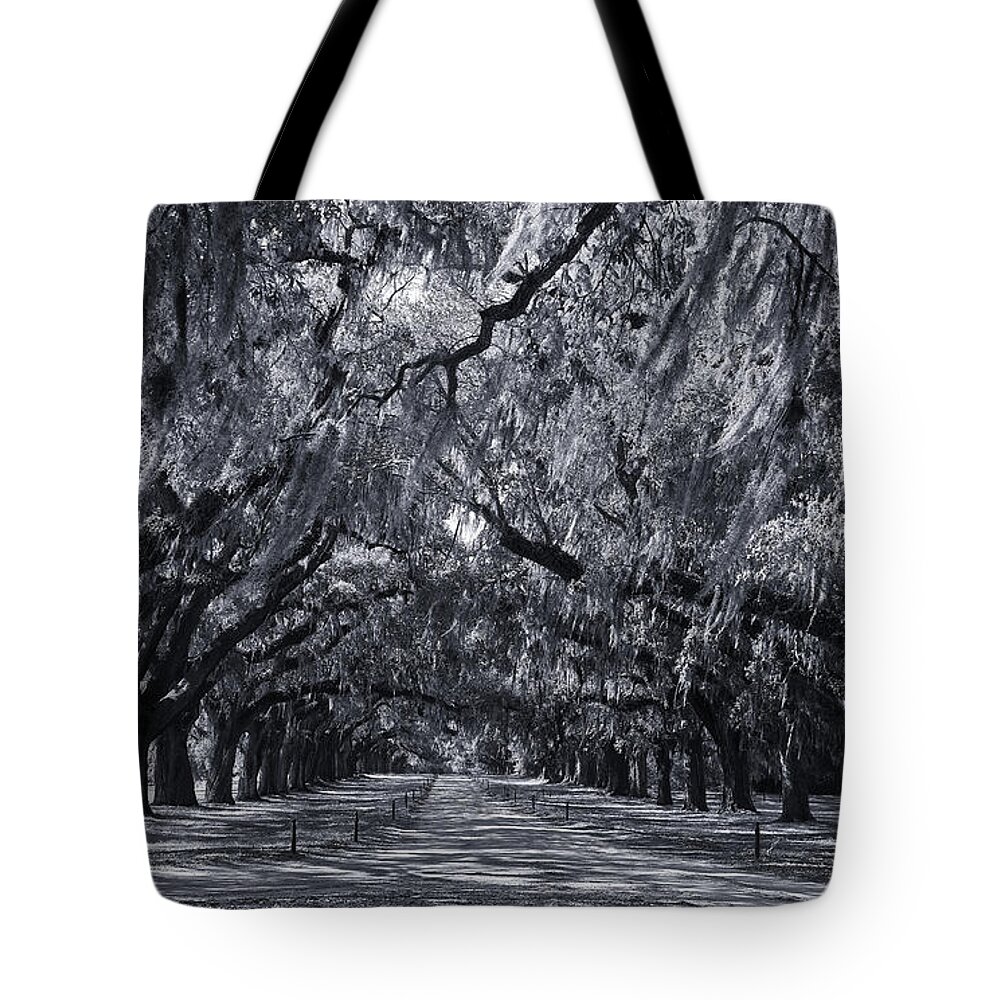 Southern Tote Bag featuring the photograph Live Oaks in Cynotype by Jill Lang