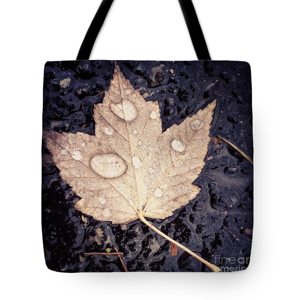 Leaf Tote Bag featuring the photograph Live With Intention by Kerri Farley