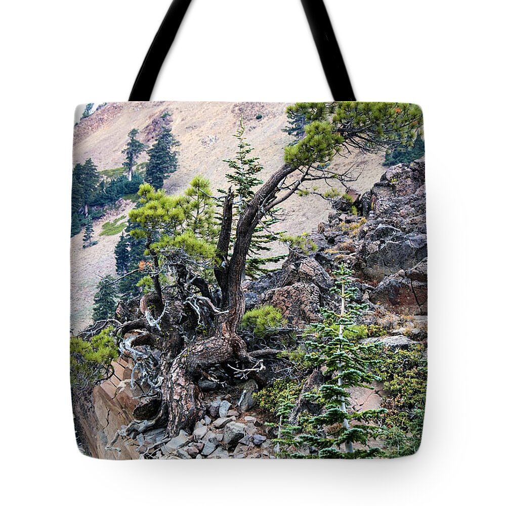 Autumn Tote Bag featuring the photograph Living Dangerously by Jan Davies