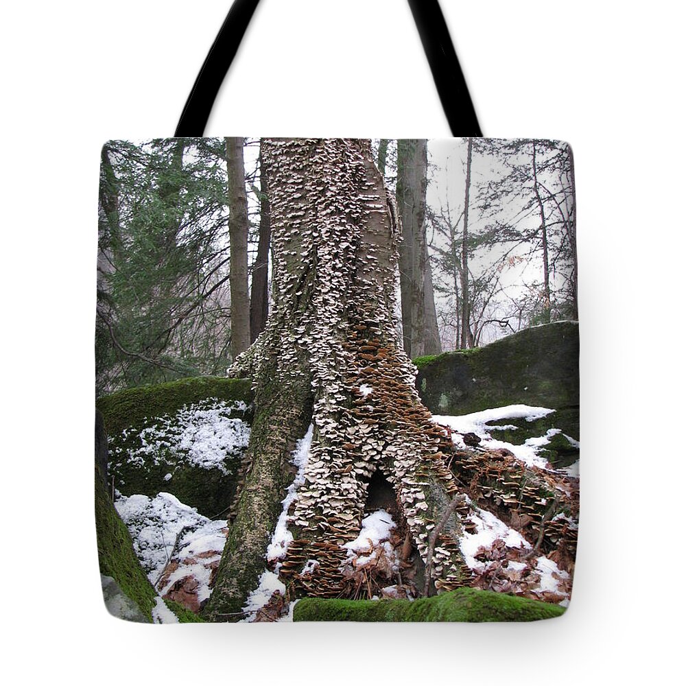 Tinker's Creek Tote Bag featuring the photograph Living Together 2 by Michael Krek