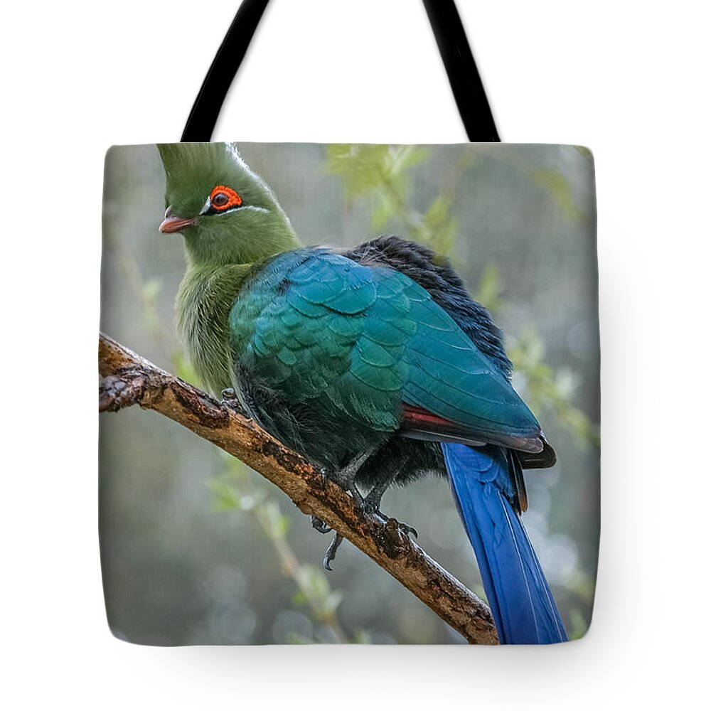 Al Andersen Tote Bag featuring the photograph Livingstone's Turaco by Al Andersen
