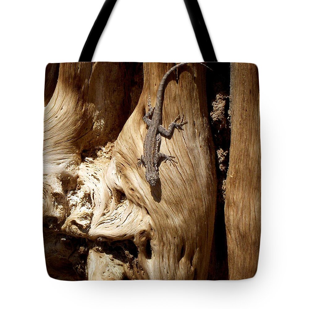 United States Tote Bag featuring the photograph Lizard by Richard Gehlbach