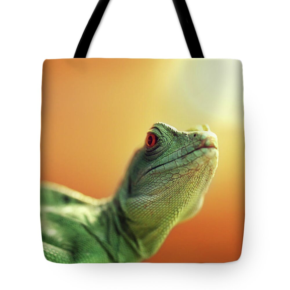Pets Tote Bag featuring the photograph Lizard by Savushkin