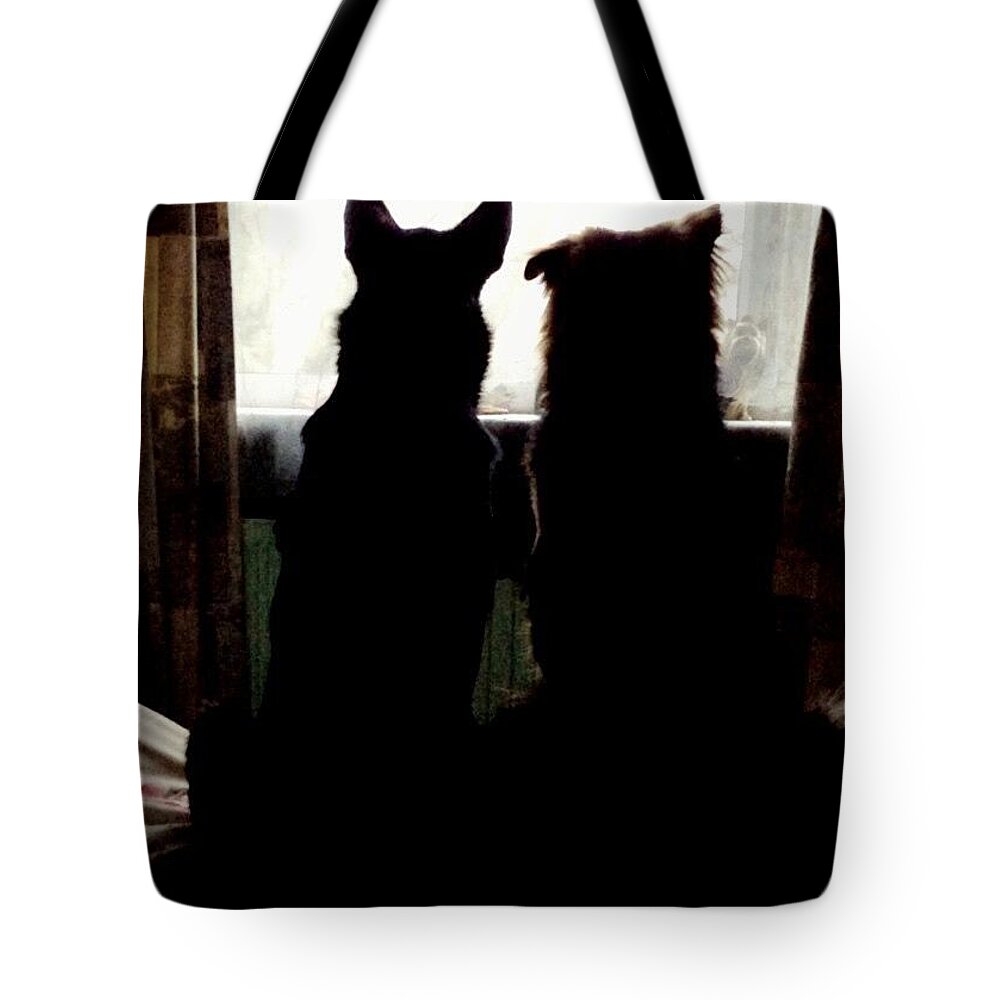 Germanshepherd Tote Bag featuring the photograph Lol Bookends. They Do This Every Single by Abbie Shores