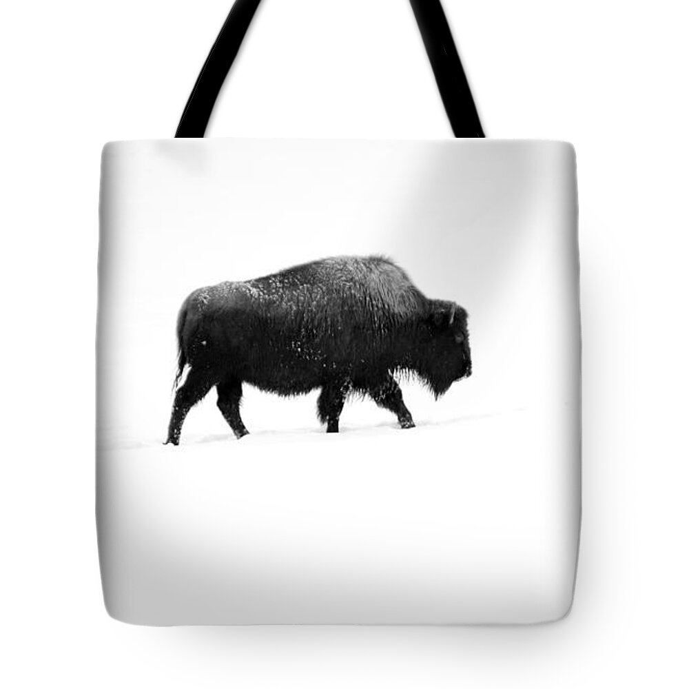 Wildlife Tote Bag featuring the photograph Lone Bison by David Lichtneker