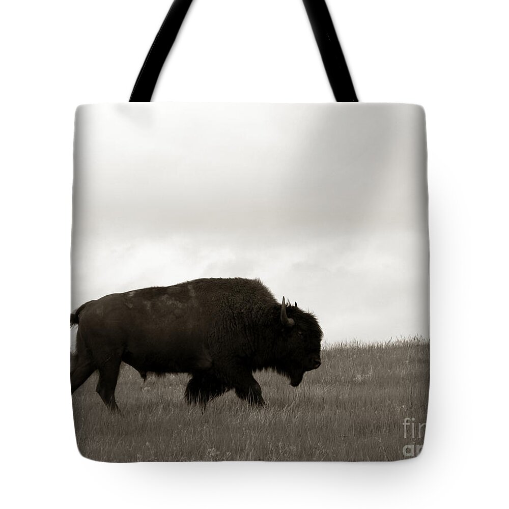 Bison Tote Bag featuring the photograph Lone Bison by Olivier Le Queinec