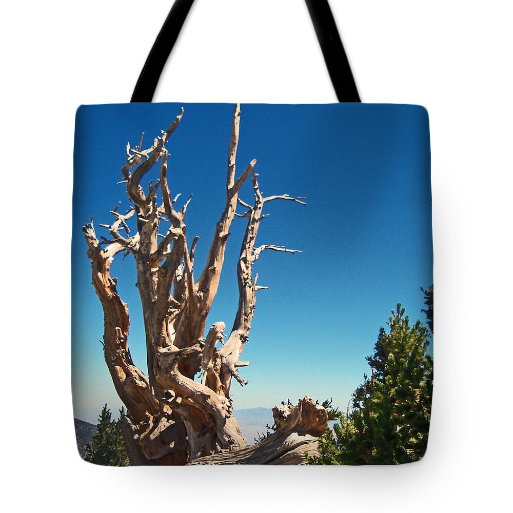 Tree Tote Bag featuring the photograph Lone Bristlecone by Alan Socolik