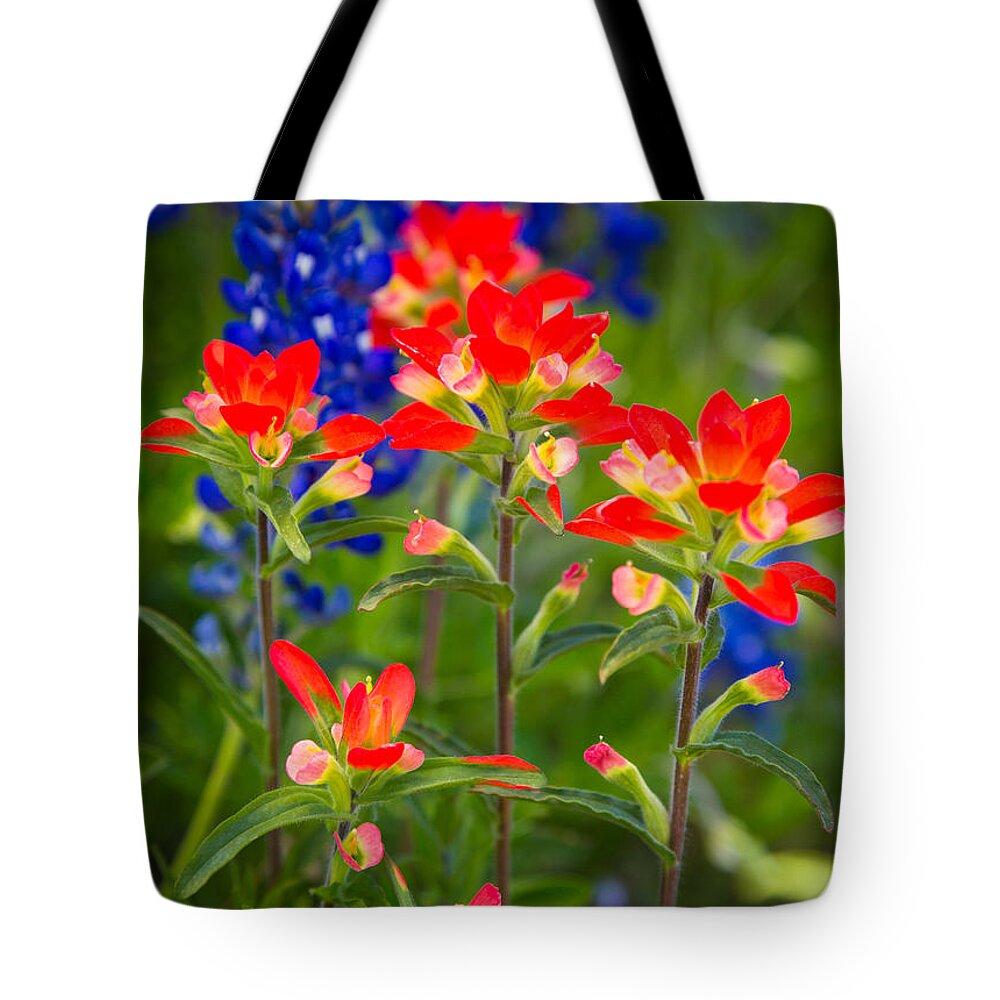 America Tote Bag featuring the photograph Lone Star Blooms by Inge Johnsson