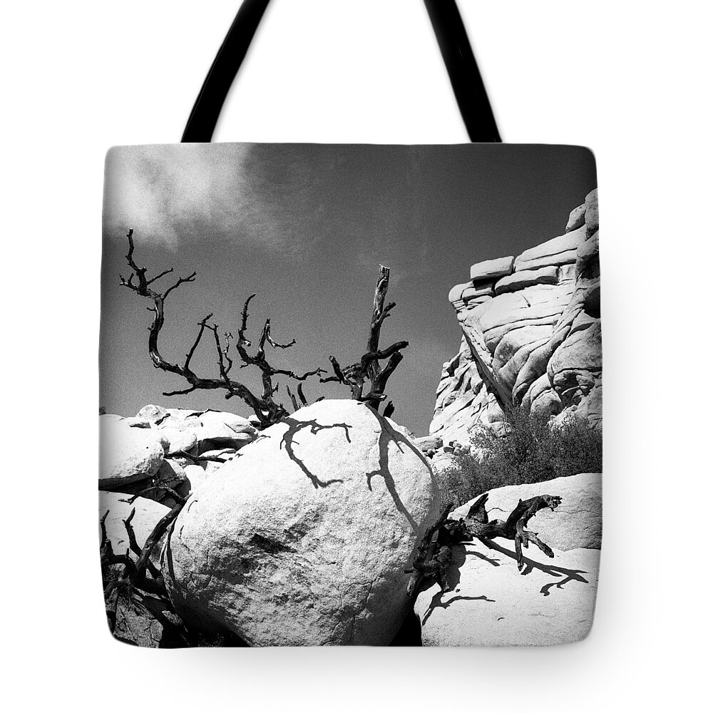 Joshua Tree Tote Bag featuring the photograph Lone Tree by Alex Snay