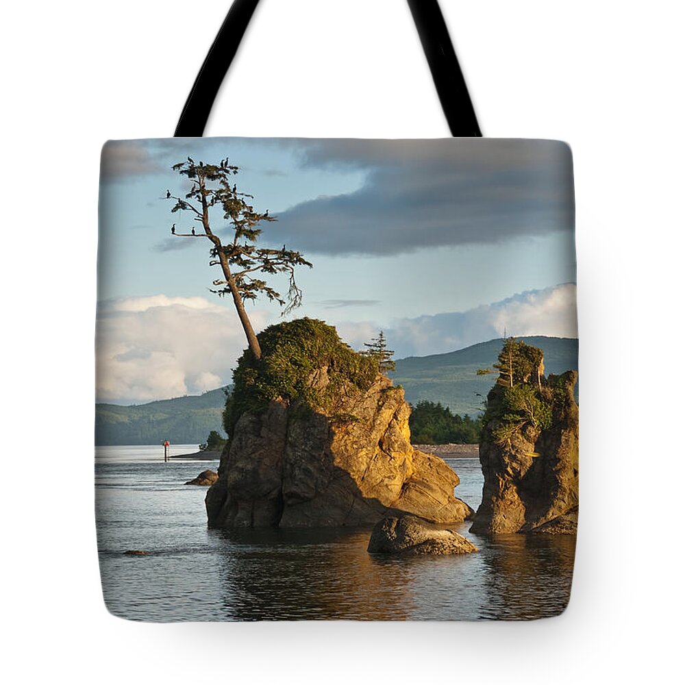 Bay Tote Bag featuring the photograph Lone Tree on a Rock at Sunset by Jeff Goulden