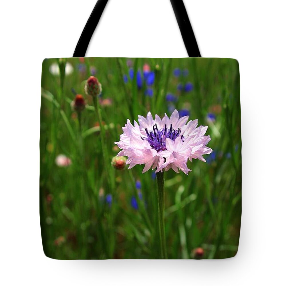 Bachelor Button Tote Bag featuring the photograph Lonely by Lynn Hopwood