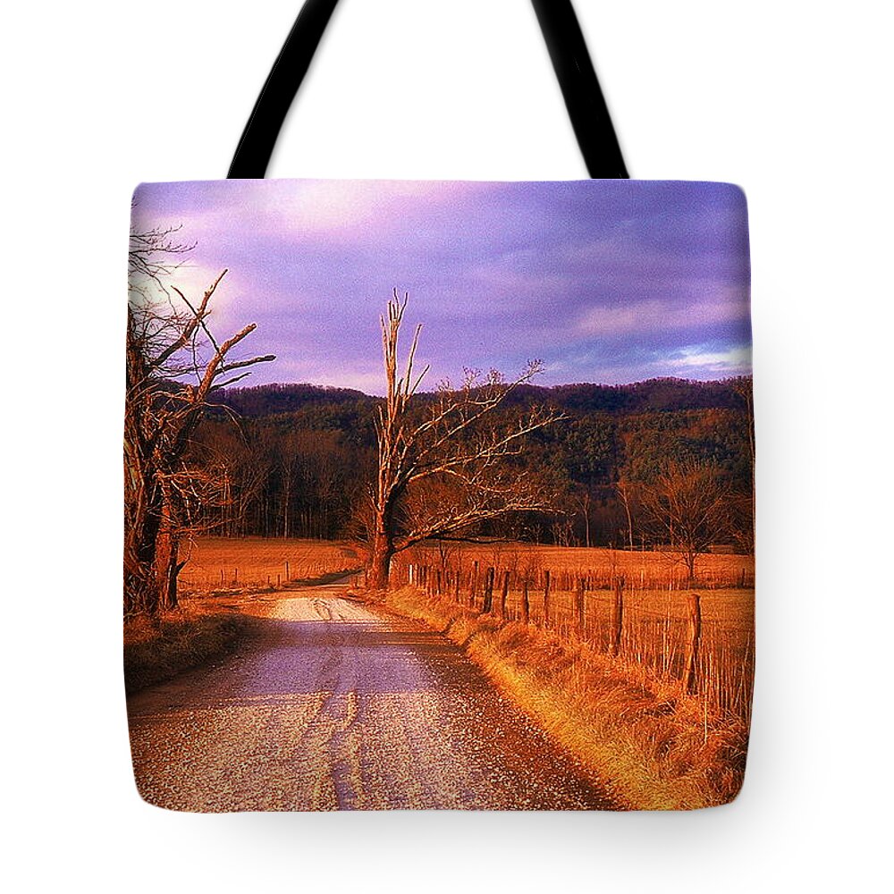 Fine Art Tote Bag featuring the photograph Lonely Road by Rodney Lee Williams