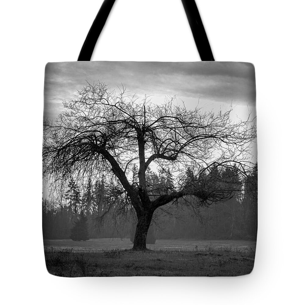 Black And White Tote Bag featuring the photograph Lonely Tree by Ron Roberts