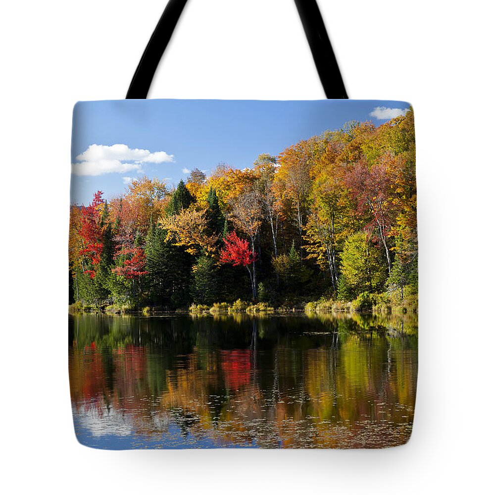 Fall Tote Bag featuring the photograph Long Pond Autumn by Alan L Graham