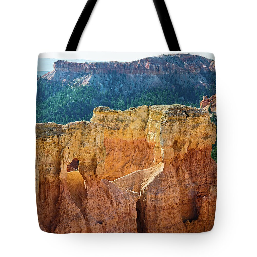Scenics Tote Bag featuring the photograph Lonly Tree In Bryce Canyon Utah Usa by Pavliha